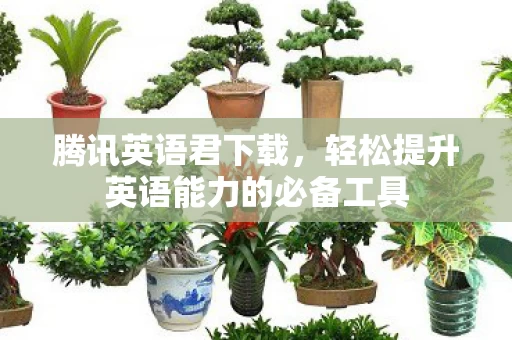 轻松提升英语能力的必备工具图片
