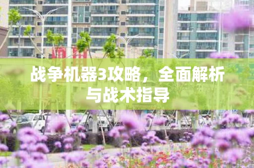 全面解析与战术指导图片