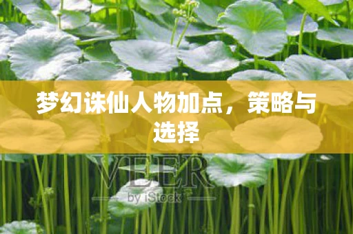梦幻诛仙人物加点图片