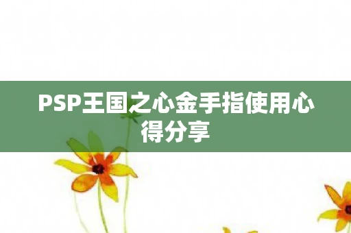 PSP王国之心金手指使用心得分享图片
