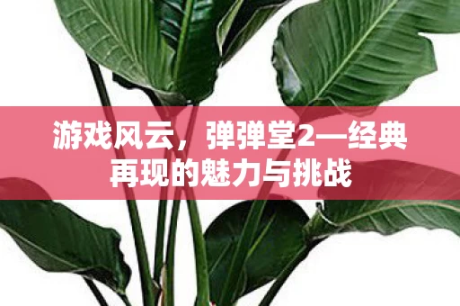 经典再现的魅力与挑战图片