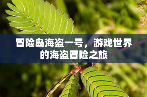 游戏世界的海盗冒险之旅图片