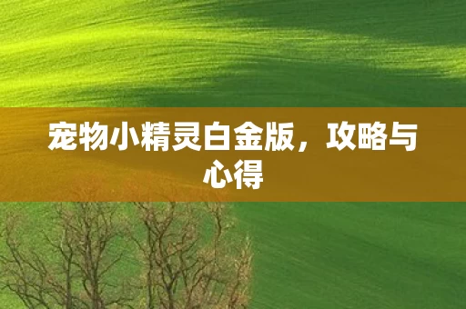 宠物小精灵白金版图片