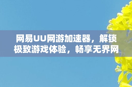 网易UU网游加速器图片