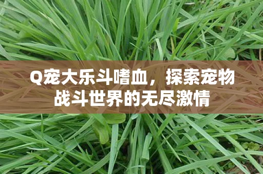 探索宠物战斗世界的无尽激情图片