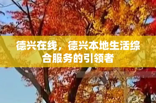 德兴本地生活综合服务的引领者图片