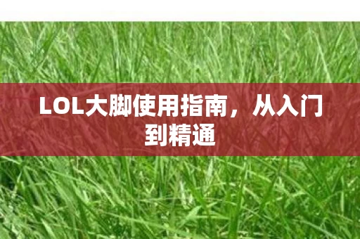 LOL大脚使用指南图片