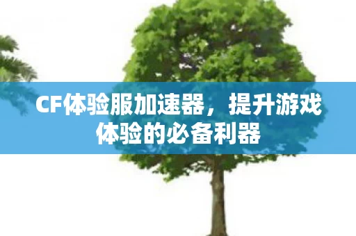 提升游戏体验的必备利器图片