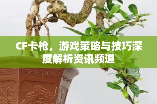 游戏策略与技巧深度解析资讯频道图片