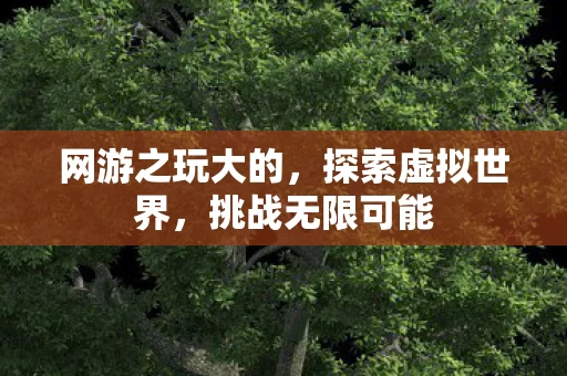 网游之玩大的图片