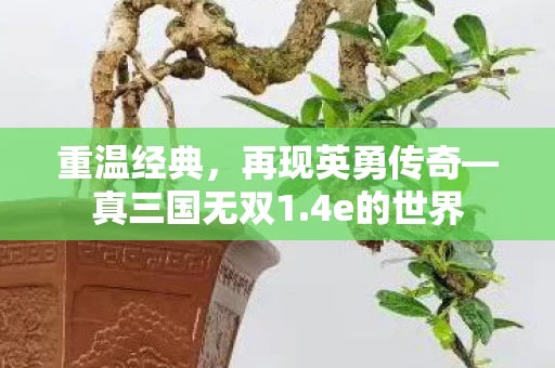 再现英勇传奇图片