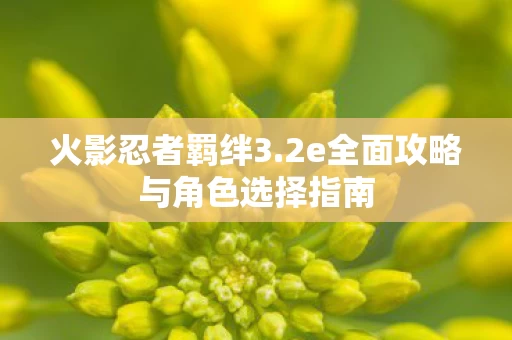 2e全面攻略与角色选择指南图片
