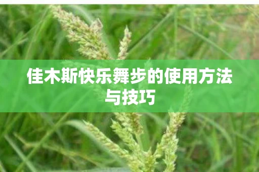 佳木斯快乐舞步的使用方法与技巧图片