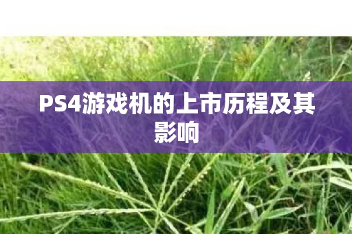 PS4游戏机的上市历程及其影响图片