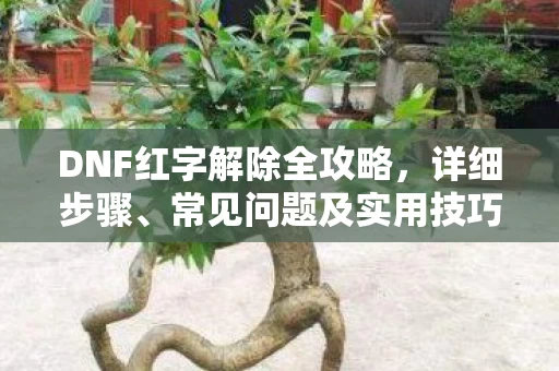 DNF红字解除全攻略图片