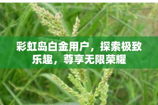 彩虹岛白金用户图片