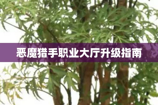 恶魔猎手职业大厅升级指南图片