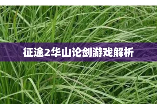 征途2华山论剑游戏解析图片