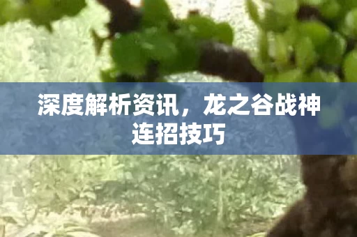 龙之谷战神连招技巧图片