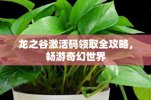 龙之谷激活码领取全攻略图片