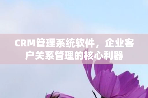 企业客户关系管理的核心利器图片