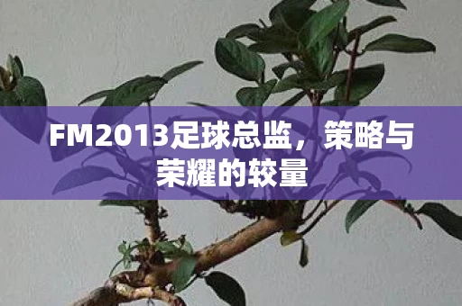 FM2013足球总监图片