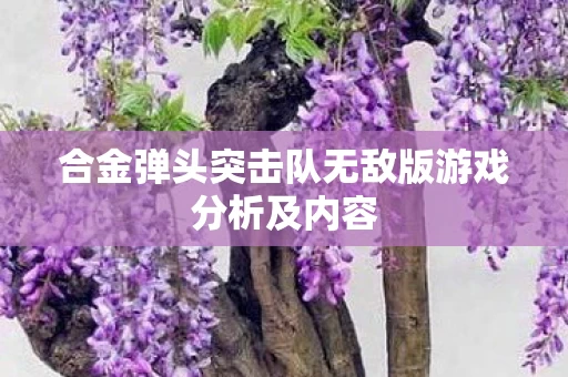 合金弹头突击队无敌版游戏分析及内容图片