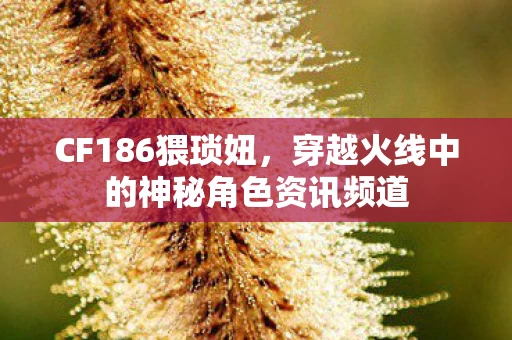 穿越火线中的神秘角色资讯频道图片