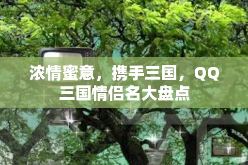 QQ三国情侣名大盘点图片