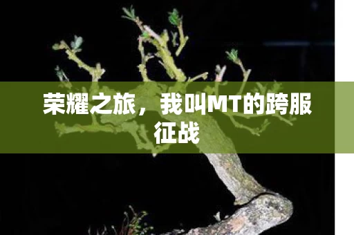 我叫MT的跨服征战图片