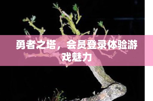 会员登录体验游戏魅力图片