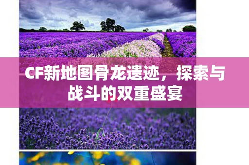 探索与战斗的双重盛宴图片