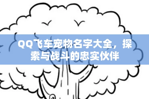 QQ飞车宠物名字大全图片