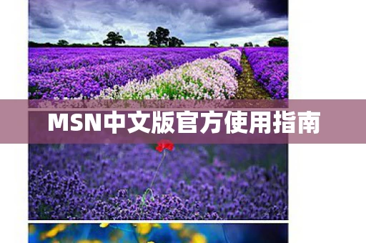 MSN中文版官方使用指南图片