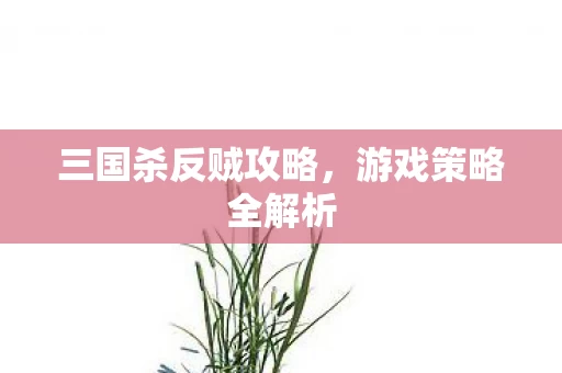 三国杀反贼攻略图片