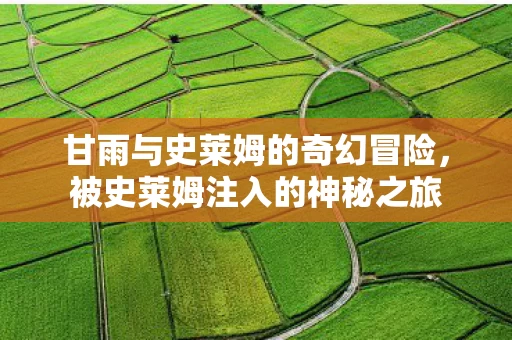 甘雨与史莱姆的奇幻冒险图片