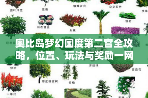 奥比岛梦幻国度第二宫全攻略图片