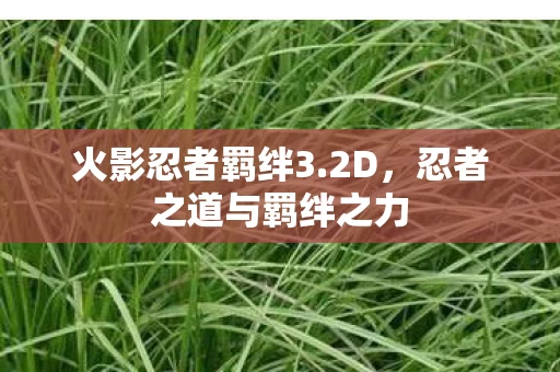 忍者之道与羁绊之力图片