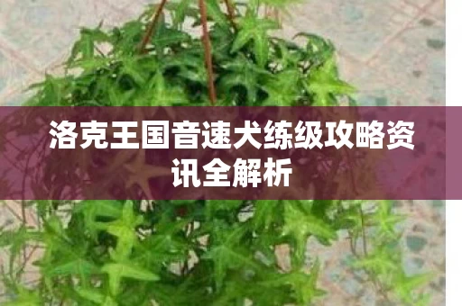 洛克王国音速犬练级攻略资讯全解析图片