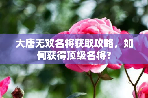 大唐无双名将获取攻略图片