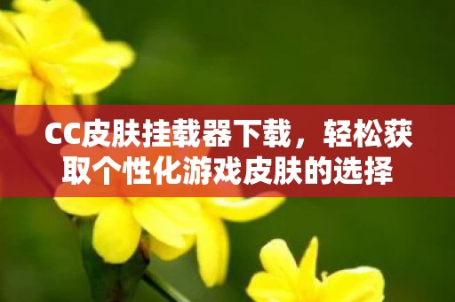 轻松获取个性化游戏皮肤的选择图片