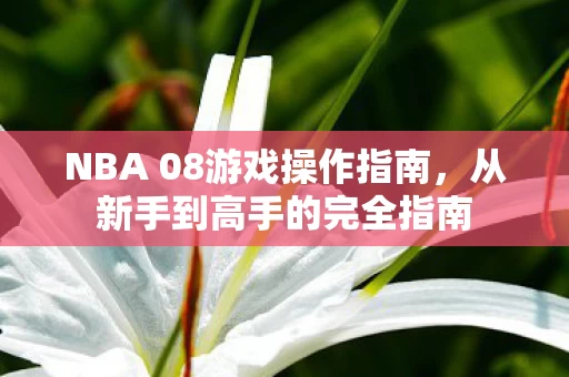 NBA 08游戏操作指南图片