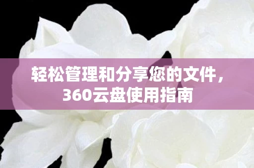 轻松管理和分享您的文件图片