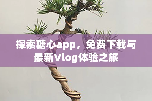免费下载与最新Vlog体验之旅图片