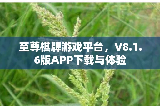6版APP下载与体验图片