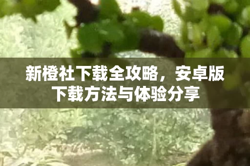 安卓版下载方法与体验分享图片