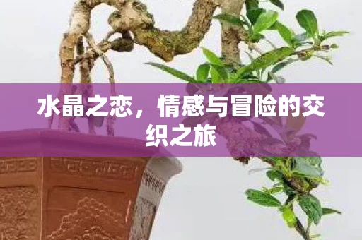 情感与冒险的交织之旅图片
