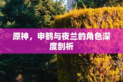原神,申鹤与夜兰的角色深度剖析 原神,申鹤与夜兰的角色深度剖析