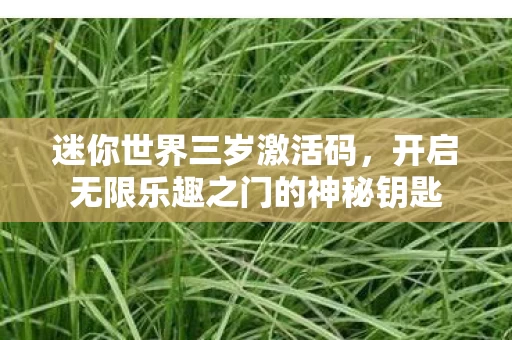 迷你世界三岁激活码，开启无限乐趣之门的神秘钥匙