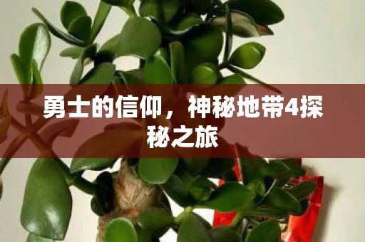 神秘地带4探秘之旅图片